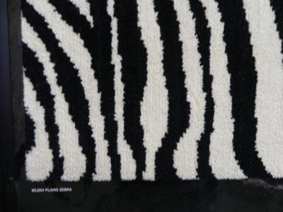 Wilflife Zebra